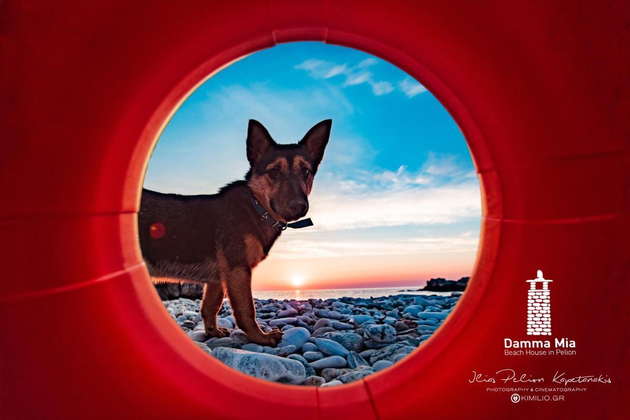 Villa Damma Mia Damouchari Esterno foto